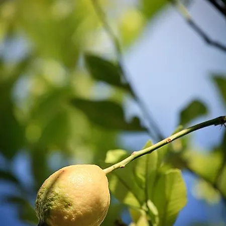 Melivaro Nyaraló Cukaládesz